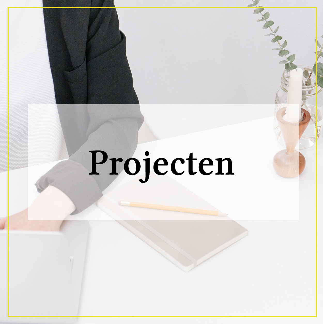 Projecten